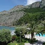 Gabbiano 3*