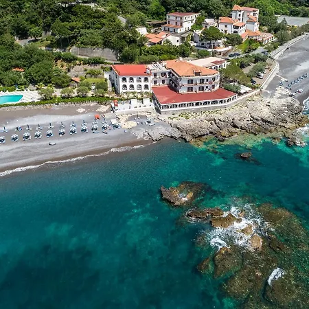 Gabbiano 3*