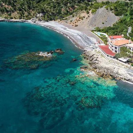 Gabbiano