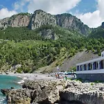 Gabbiano Maratea