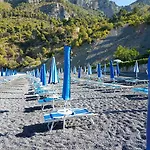 Gabbiano