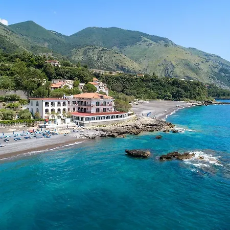 Gabbiano