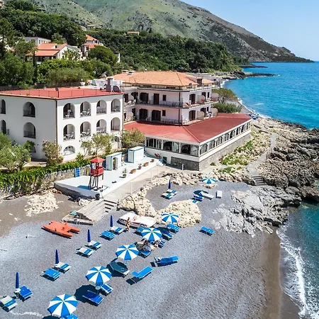 Gabbiano Maratea