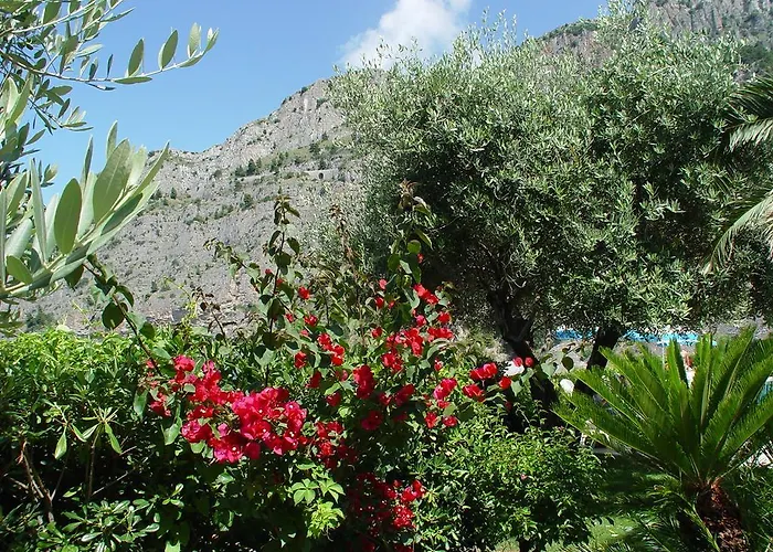 Gabbiano Ξενοδοχείο Maratea